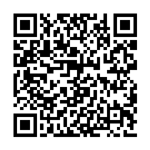 北冥小队肯定没人具备进入人榜前二十五的战力二维码生成