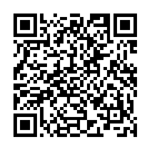 北地修仙界不再是自己在世俗界凭空想像的那样虚无缥缈二维码生成