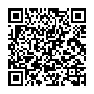 北境军中也迅速的扩充了大批的原本的大楚人入伍二维码生成
