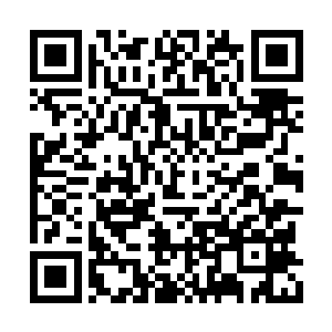 北宫凤在旁痴痴地看着马纵横安抚桥氏姐妹两人二维码生成