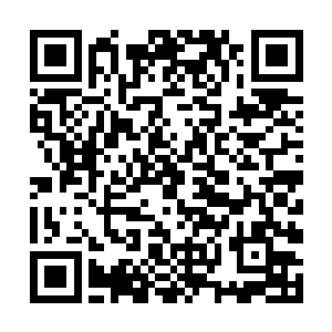 北方居民从没想过世界上还有这么多精巧绝伦的东西二维码生成