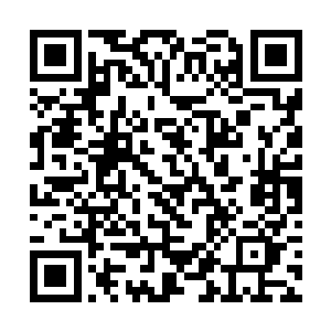 北极狼牙就是中心区域培育出来的一条忠心耿耿的狗二维码生成