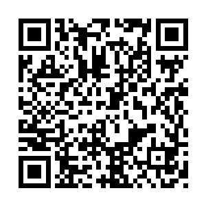 北极狼牙差点被贪狼的这一声咆哮震的魂飞魄散二维码生成