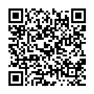 北海冰龙与无根树祖则趁机偷袭了海王界两处要地二维码生成