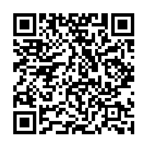 北海冰龙皇与无根树祖就是在这种情况下成长起来的二维码生成