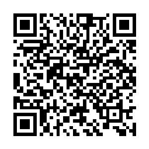 北海冰龙皇那引以为傲的强大力量竟然也无法躲避二维码生成