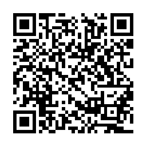 北美广播影评人协会奖在成立之初走的是高冷路线二维码生成