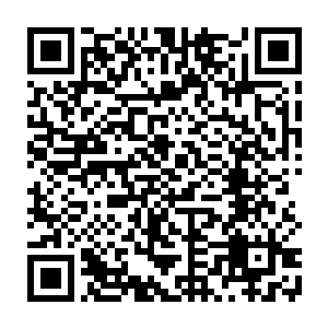 北莽皇帝和太平令就是要用慕容宝鼎两部精锐精骑去牵扯北凉关外左右骑军二维码生成