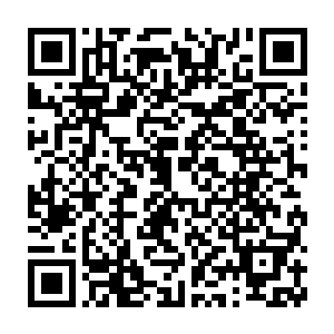 北莽骑军虽说已经意识到必须不惜以十骑百骑性命去换对手一口气二维码生成