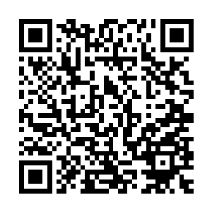 北辰睿多么希望自己能够化身为被叼在萱若双唇之中的那根嫩草二维码生成