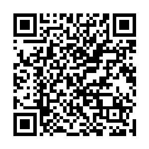 北面的谢尔盖佐夫远远的看着冲出来的俄军哥萨克骑兵二维码生成