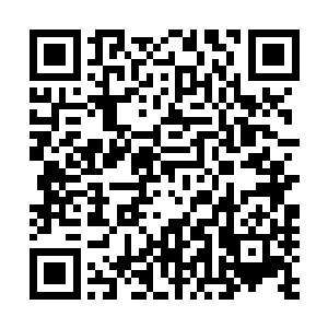 北龙大域附近的两个玄级禁地势力已经派遣弟子进入其中了二维码生成