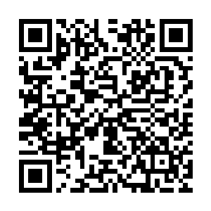 匣子里有两封书信和一条乳白色不知名材质精致编制而成的长绳二维码生成