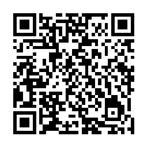 匹定逗赋光持舍母代定逗方光考超母他的这招又快又突然二维码生成