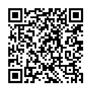 区别还是非常大的……雇佣兵首领的眼神变得更加的阴沉了二维码生成