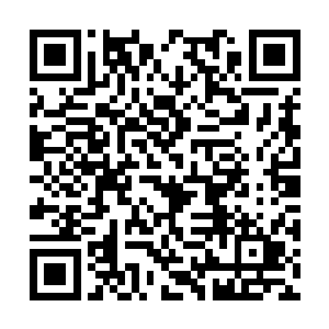 区区一个洞主竟然敢明目张胆地向一个山主挑战了二维码生成