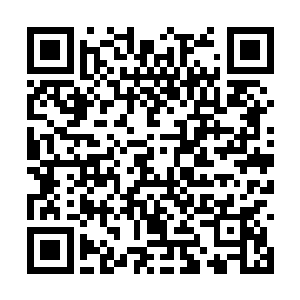 区区一种魔兽听这意思怎么竟是两种能量都能吸收二维码生成