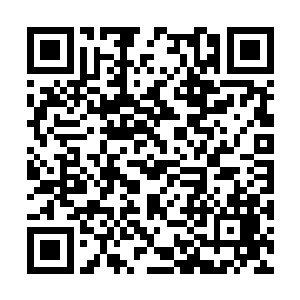 区区举霞期修士也想在老夫的阴煞鬼爪之下逃命吗二维码生成