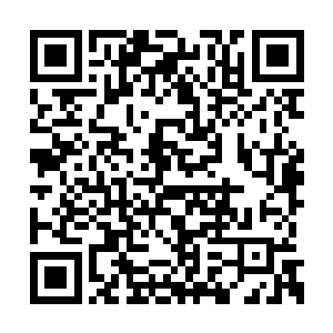 区委书记与县委书记探讨发展思路难道说也有错二维码生成