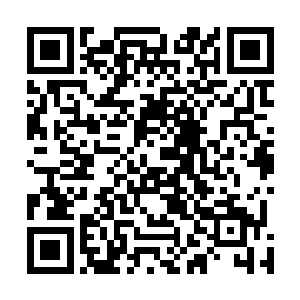 区长的儿子在胡梅英这种小导游眼里已经是很牛的身份了二维码生成