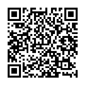 医术里面可以从面部看出人的身体毛病那就是世家的人才会二维码生成