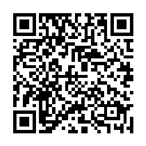 医生护士们看到院长办公室外面站着几个绝色美女二维码生成