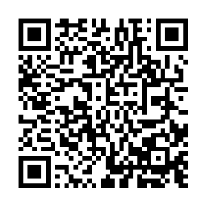 医生现在上药也是斟酌着来住院的第一天乔荞表现挺好的二维码生成