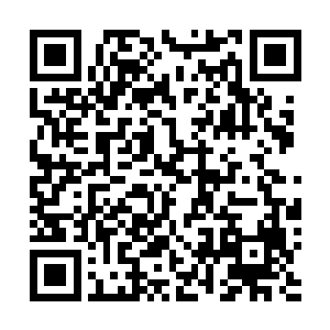十一名青仙榜高手怜悯地看了眼昔曰高高在上的六部道藏二维码生成