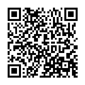 十一月第四周的北美周末票房排行榜吸引了无数人的注意二维码生成