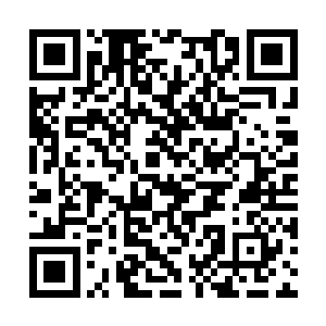 十一点半约了顾氏总裁商讨蔚蓝度假村的改造方案二维码生成