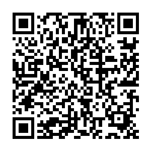 十七号包厢的朋友千万见谅……小女子竞价这沉疴墨莲非是针对阁下二维码生成