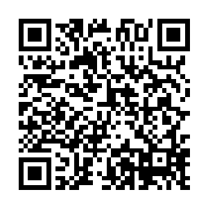 十七岁……可不正是对着个树洞都想捅一捅的年龄段二维码生成