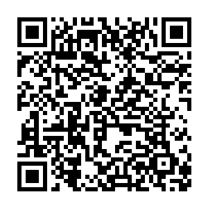 十万九阶巅峰战士在地面上向大丰城中的九阶丧尸发起凶猛的进攻二维码生成