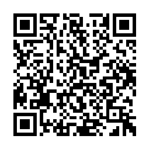 十三号已经是第五遍看这个只有十分钟的视频了二维码生成