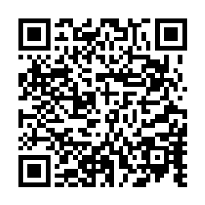 十三号开始在她的西服扣眼处仔细的安放一个极小的摄像头二维码生成