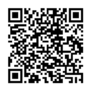 十三家族还秘密把一批子弟携带着很多宝物和资源二维码生成