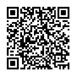 十三年前岳父与岳母遭遇山匪之事只怕也是有人指使二维码生成