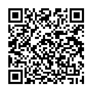 十三香心有余悸用自己的叶子摸了摸完好无缺的花朵二维码生成