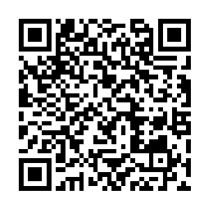 十三香的根系末端竟是缀着一粒粒细小的蓝色晶石~二维码生成