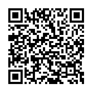 十个卫兵手忙脚乱地将已经彻底腐朽的橡木搬开二维码生成