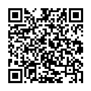 十个空间储物袋的物资……老袁的眼睛都呈蚊香状了二维码生成