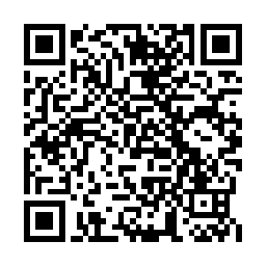 十个里起码有五个会告诉对方自己是金子山的人二维码生成