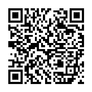 十九个木属性的修士悄悄隐藏在距离螭龙数里之地二维码生成