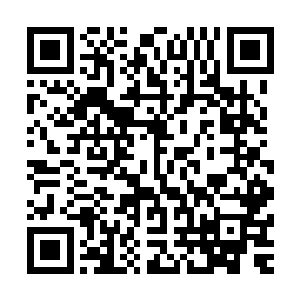 十二万年份的木灵玉只有二十五万年份木灵玉价值的三分之一二维码生成