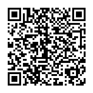 十二个军人――可能是钢铁之城最后的一批军人――他们守在了最前方的通道前二维码生成