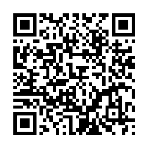 十二个嫡系血脉中每个血脉弟子想法设法都招收一个二维码生成