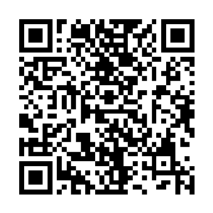 十二位联手纵然可以杀掉明月而不虞担心有人被他拉着陪葬二维码生成
