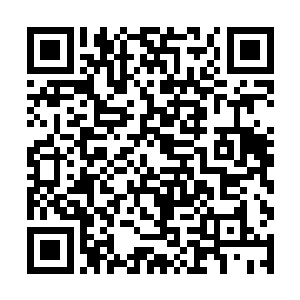 十二天庭之一的仙羽门可是在整个仙界通缉一名仙帝二维码生成