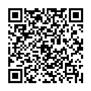 十二尊血僵顿时也直接朝着龙傲天的身边飞扑过来二维码生成