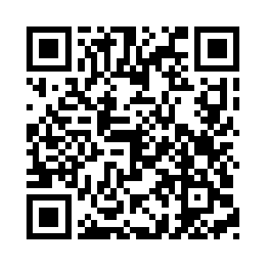 十二朵玫瑰在他的眼前分成明显的两个阵营二维码生成